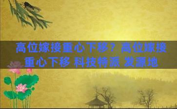 高位嫁接重心下移？高位嫁接重心下移 科技特派 发源地